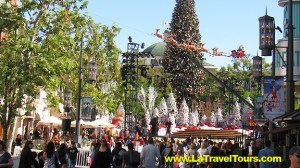 The Grove Holiday Tour