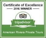 TripAdvisor Certificate of Excellence